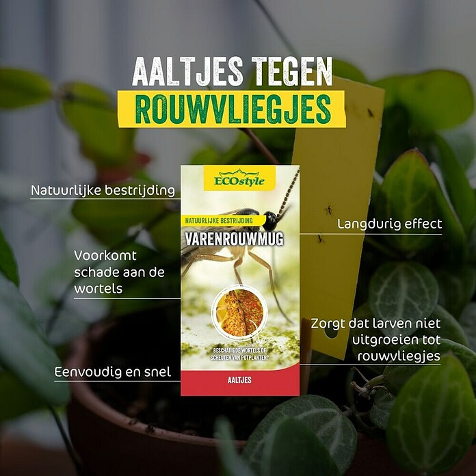 ECOstyle Vliegenmaden- en geurvrij - Varenrouwmug (200 st.) | BAUHAUS