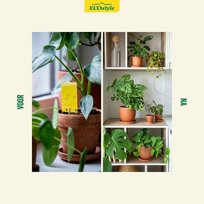ECOstyle Vliegenmaden- en geurvrij - Varenrouwmug (200 st.) | BAUHAUS