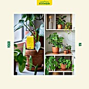 ECOstyle Vliegenmaden- en geurvrij - Varenrouwmug (200 st.) | BAUHAUS