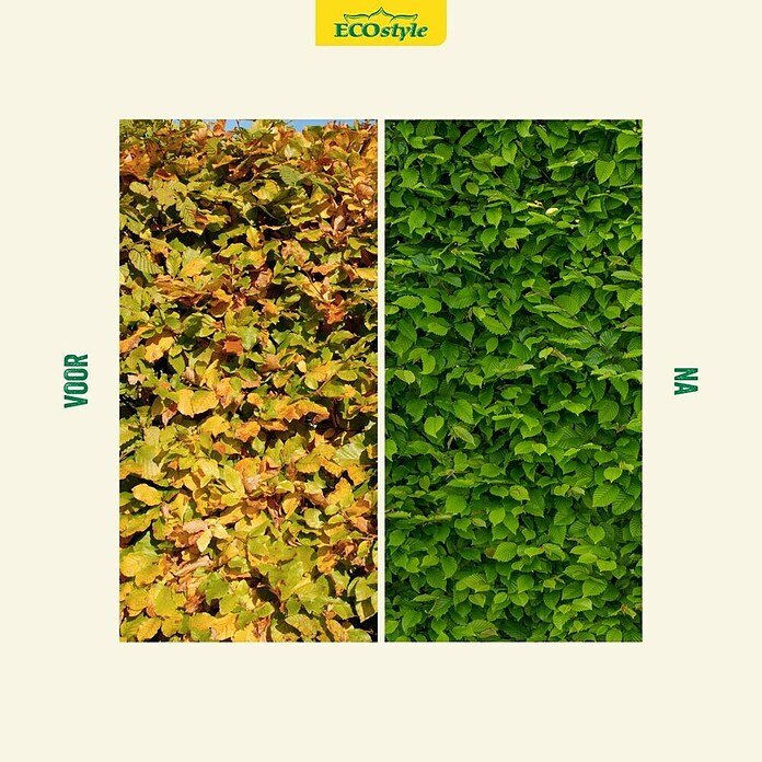 ECOstyle Buxus- en hagenmest - Hagen-AZ+ (4 kg) | BAUHAUS