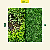 ECOstyle Gazonherstel 4-in-1 (500 g) | BAUHAUS