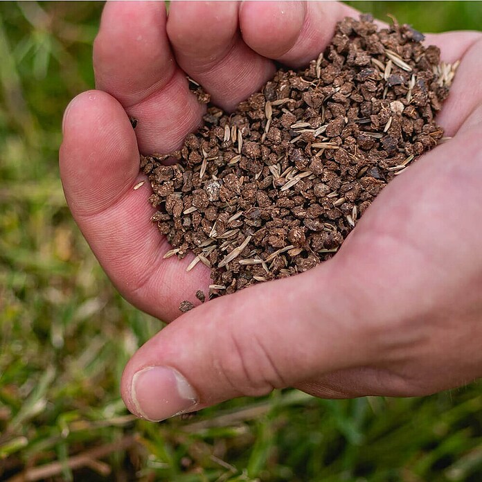 ECOstyle Gazonherstel 4-in-1 (500 g) | BAUHAUS