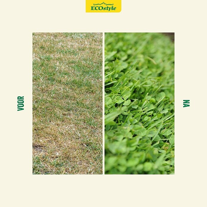 ECOstyle Graszaad voor sterke grasmat (1 kg, 50 m²) | BAUHAUS