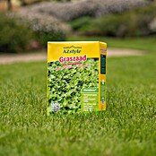 ECOstyle Graszaad voor sterke grasmat (1 kg, 50 m²) | BAUHAUS