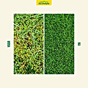 ECOstyle Bio-gazonmest Gazon-AZ+ (18 kg) | BAUHAUS