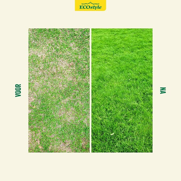 ECOstyle Graszaad Versterk (2 kg, 100 m²) | BAUHAUS
