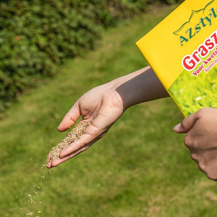 ECOstyle Graszaad Versterk (2 kg, 100 m²) | BAUHAUS