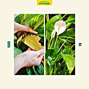 ECOstyle Kamerplanten Voeding Groen Voer (Vloeibare meststof, 400 ml) | BAUHAUS