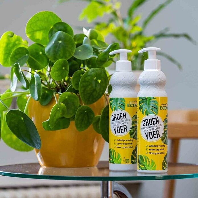 ECOstyle Kamerplanten Voeding Groen Voer (Vloeibare meststof, 400 ml) | BAUHAUS