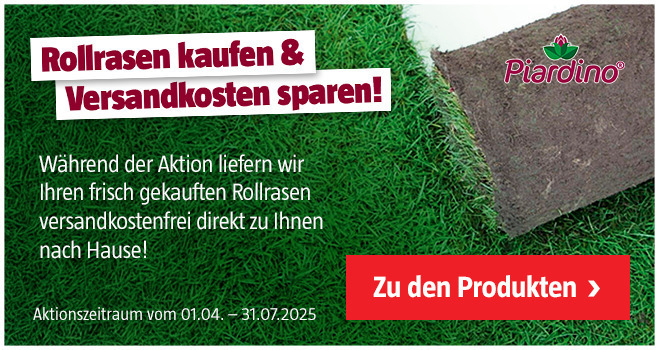 Rollrasen versandkostenfrei