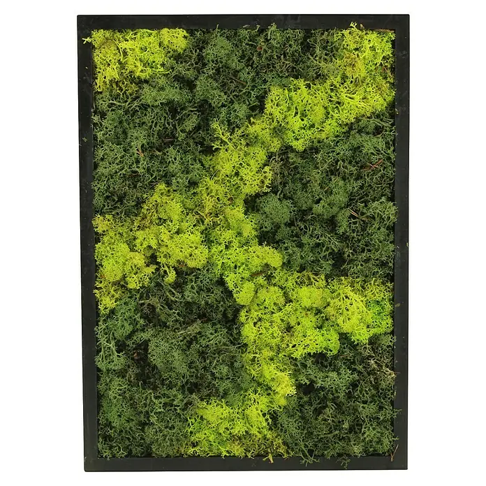 Piardino Moosbild rechteckig groß - Schwarz 38 cm - Gerahmtes Paneel aus konserviertem grünem Moos in verschiedenen Schattierungen, als strukturierte Wanddekoration.