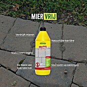 ECOstyle Mierenmiddel MierVrij (1 l) | BAUHAUS