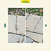 ECOstyle Lokmiddel, navulling MierenLokdoos (2 x 20 ml) | BAUHAUS