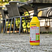ECOstyle Mierenmiddel MierVrij (1 l) | BAUHAUS