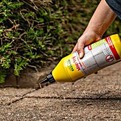 ECOstyle Mierenmiddel MierVrij (1 l) | BAUHAUS