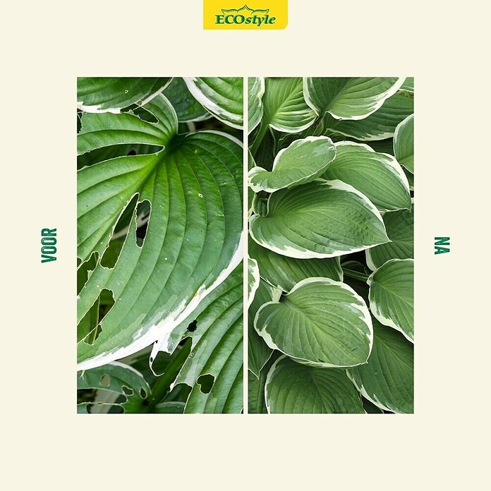 ECOstyle Slakken-stop Escar-No (1 kg) | BAUHAUS
