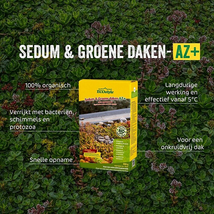 ECOstyle Sedummest (1.600 g) | BAUHAUS