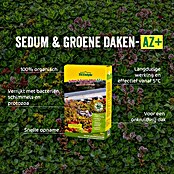 ECOstyle Sedummest (1.600 g) | BAUHAUS