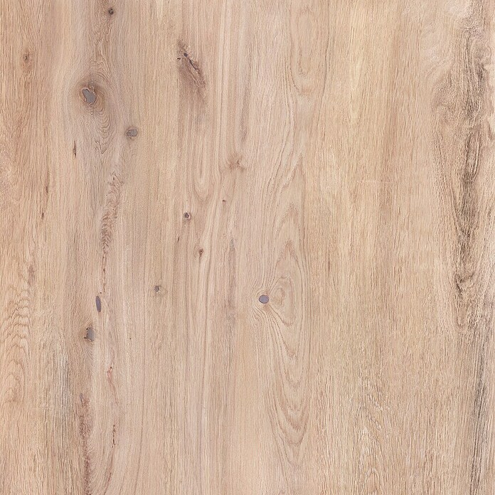 Terasna ploščica Garden Coldbrown 2.0  (59,7 x 59,7 x 2 cm, Mat) | Kamnite ploščice | Talne ploščice | Ploščice | Izdelki | BAUHAUS