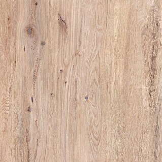 Terrassenfliese Garden Coldbrown 2.0 (59,7 x 59,7 x 2 cm, Grau/Braun, Matt)