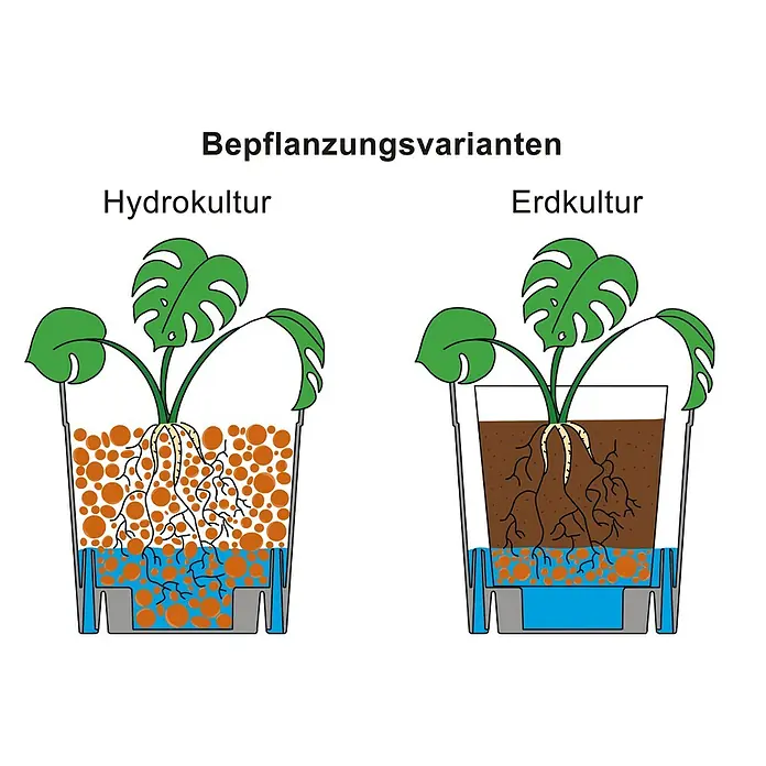 Pflanztopf Set 8er FlexiFlora - Kunststoff, Schwarz, 8 Stk. - Zwei Topf-Monstera-Pflanzen, die Hydrokultur mit Blähton und Wasser sowie Erdkultur mit Erde und Wasserreservoir zeigen.