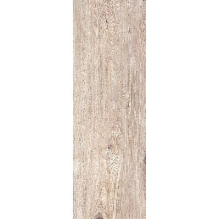 Terasna ploščica Garden Lightbrown 2.0  (39,7 x 119,7 x 2 cm, Mat) | Kamnite ploščice | Talne ploščice | Ploščice | Izdelki | BAUHAUS