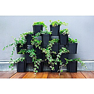 Pflanztopf Set 8er FlexiFlora (Kunststoff, Schwarz, 8 Stk.)