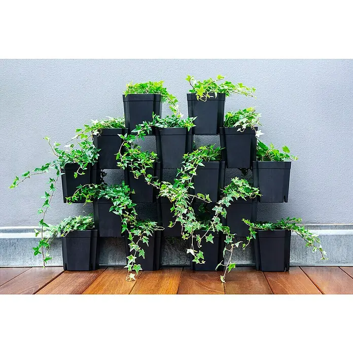 Pflanztopf Set 8er FlexiFlora - Kunststoff, Schwarz, 8 Stk. - Vertikaler Garten mit schwarzen Pflanzgefäßen und Efeu vor einer grauen Wand. Stilvolle Gartengestaltung mit kletternden Pflanzen und dunklen Akzenten.