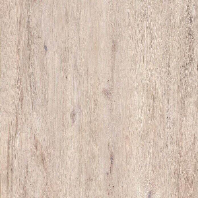 Terasna ploščica Garden Lightbrown 2.0  (59,7 x 59,7 x 2 cm, Mat) | Kamnite ploščice | Talne ploščice | Ploščice | Izdelki | BAUHAUS