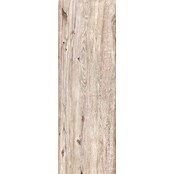 Terasna ploščica Garden Lightbrown 2.0  (39,7 x 119,7 x 2 cm, Mat) | Kamnite ploščice | Talne ploščice | Ploščice | Izdelki | BAUHAUS