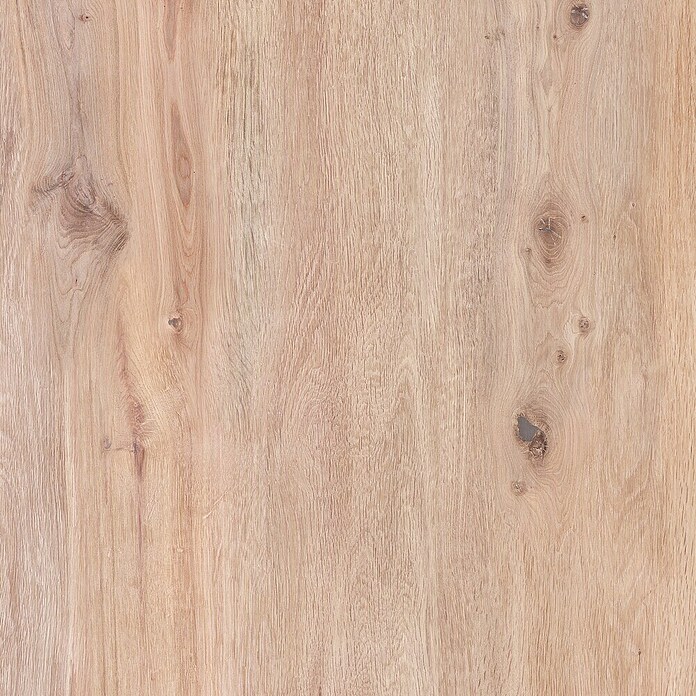 Terasna ploščica Garden Coldbrown 2.0  (59,7 x 59,7 x 2 cm, Mat) | Kamnite ploščice | Talne ploščice | Ploščice | Izdelki | BAUHAUS