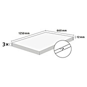 Egger Wandpaneel DecoWall (Esbjerg Rüster, 1 250 x 660 x 12 mm, 3 Stk.) | BAUHAUS