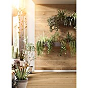 Egger Wandpaneel DecoWall (Loveland Eiche, 1 250 x 660 x 12 mm, 3 Stk.) | BAUHAUS