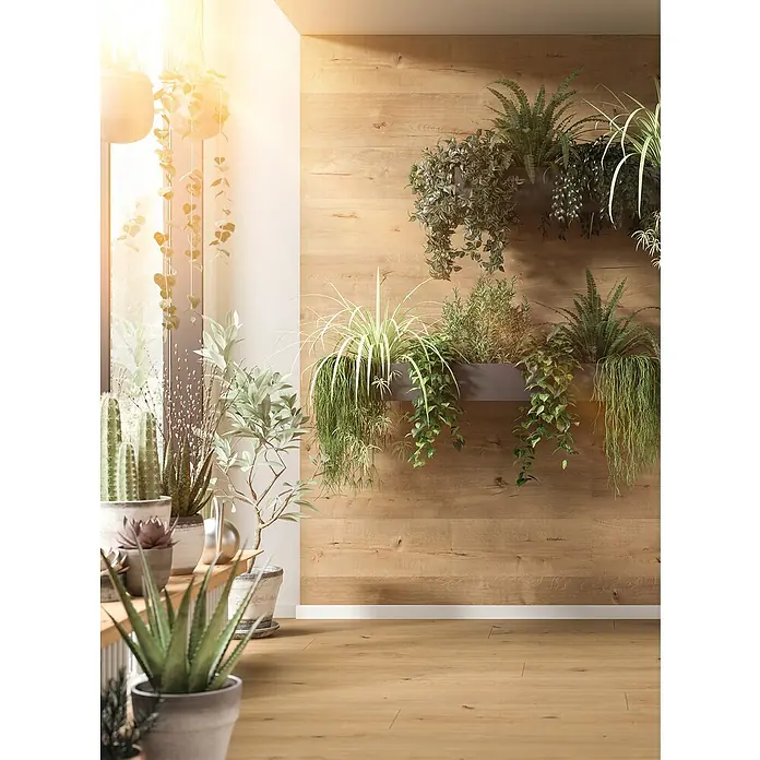 Egger Wandpaneel DecoWall - Loveland Eiche, 1.250 x 660 x 12 mm, 3 Stk. - Vertikaler Garten mit grünen Pflanzen an heller Holzvertäfelung und passendem Boden in einem hellen Raum.