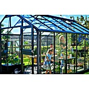 Juliana Gewächshaus Premium (4,39 x 2,96 x 2,67 m, Sicherheitsglas, Glasstärke: 3 mm, Anthrazit/Schwarz)