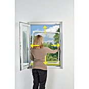 Easy Maxx Insektenschutzfenster (B x H: 115 x 135 mm, Montage Insektengitter: Klemmen, Farbe Rahmen: Weiß) | BAUHAUS