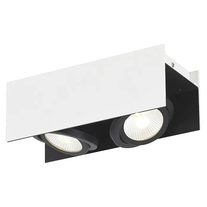 Eglo LED-Deckenstrahler Vidago - L x B x H: 31 x 13 x 11 cm, Schwarz, Weiß, 2 Stk. - Nahaufnahme einer weißen Deckenleuchte mit zwei schwarzen Strahlern.