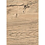 Egger Wandpaneel DecoWall (Namur Fichte hell, 1 250 x 660 x 12 mm, 3 Stk.) | BAUHAUS