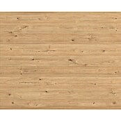 Egger Wandpaneel DecoWall (Esbjerg Rüster, 1 250 x 660 x 12 mm, 3 Stk.) | BAUHAUS