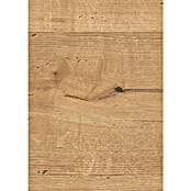 Egger Wandpaneel DecoWall (Loveland Eiche, 1 250 x 660 x 12 mm, 3 Stk.) | BAUHAUS
