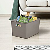 Tatay Baobab Cesta para la ropa (29,4 x 38,5 x 23 cm, Plástico, Taupe) | BAUHAUS