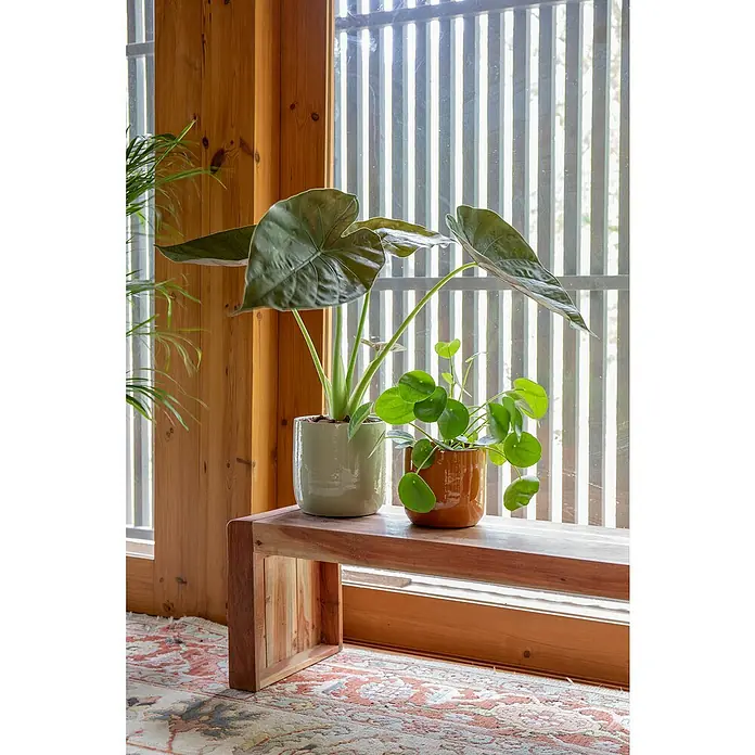 Artevasi Übertopf rund Jupiter - Außenmaß (Ø x H): 28,5 x 28 cm, Weißgrün, Keramik - Holzbank mit zwei Topfpflanzen vor einem Fenster.
