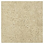 Corso Italia Terasna ploščica Pompei Aureo Classico Cross  (60 x 60 cm, Peščena, Mat) | 4240 - Natursteinoptik | EAFA - Bodenfliesen | EAF - Fliesen | EA - Fliesen | E - Fliesen | BAUHAUS