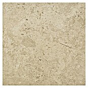 Corso Italia Terasna ploščica Pompei Aureo Classico Cross  (60 x 60 cm, Peščena, Mat) | 4240 - Natursteinoptik | EAFA - Bodenfliesen | EAF - Fliesen | EA - Fliesen | E - Fliesen | BAUHAUS