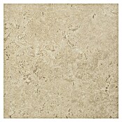 Corso Italia Terasna ploščica Pompei Aureo Classico Cross  (60 x 60 cm, Peščena, Mat) | 4240 - Natursteinoptik | EAFA - Bodenfliesen | EAF - Fliesen | EA - Fliesen | E - Fliesen | BAUHAUS