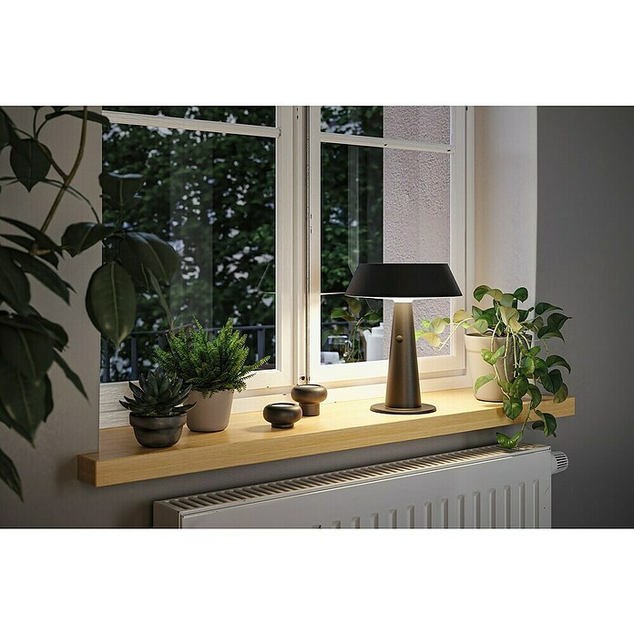 Paulmann Lámpara de sobremesa solar Soala (Potencia máx. del sistema: 32 W, Negro) | BAUHAUS