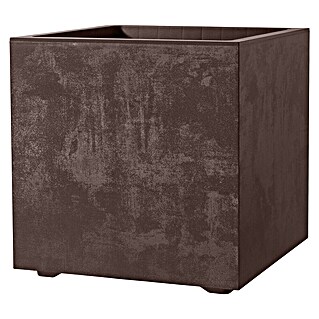 Deroma Millennium Maceta para planta (L x An x Al: 39 x 39 x 39 cm, Plástico, Brownstone)