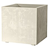 Deroma Millennium Maceta para planta (L x An x Al: 39 x 39 x 39 cm, Plástico, Perla) | BAUHAUS