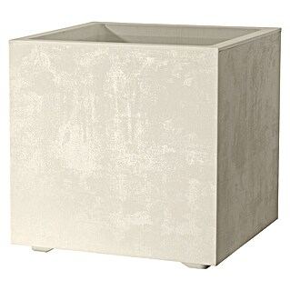 Deroma Millennium Maceta para planta (L x An x Al: 39 x 39 x 39 cm, Plástico, Perla)