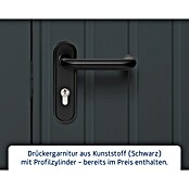 EcoStar Gerätehaus Euroline Trend EFD6 (Außenbreite inkl. Dachüberstand: 237 cm, Außentiefe inkl. Dachüberstand: 278 cm, Stahl, Anthrazitgrau, Doppeltür) | BAUHAUS